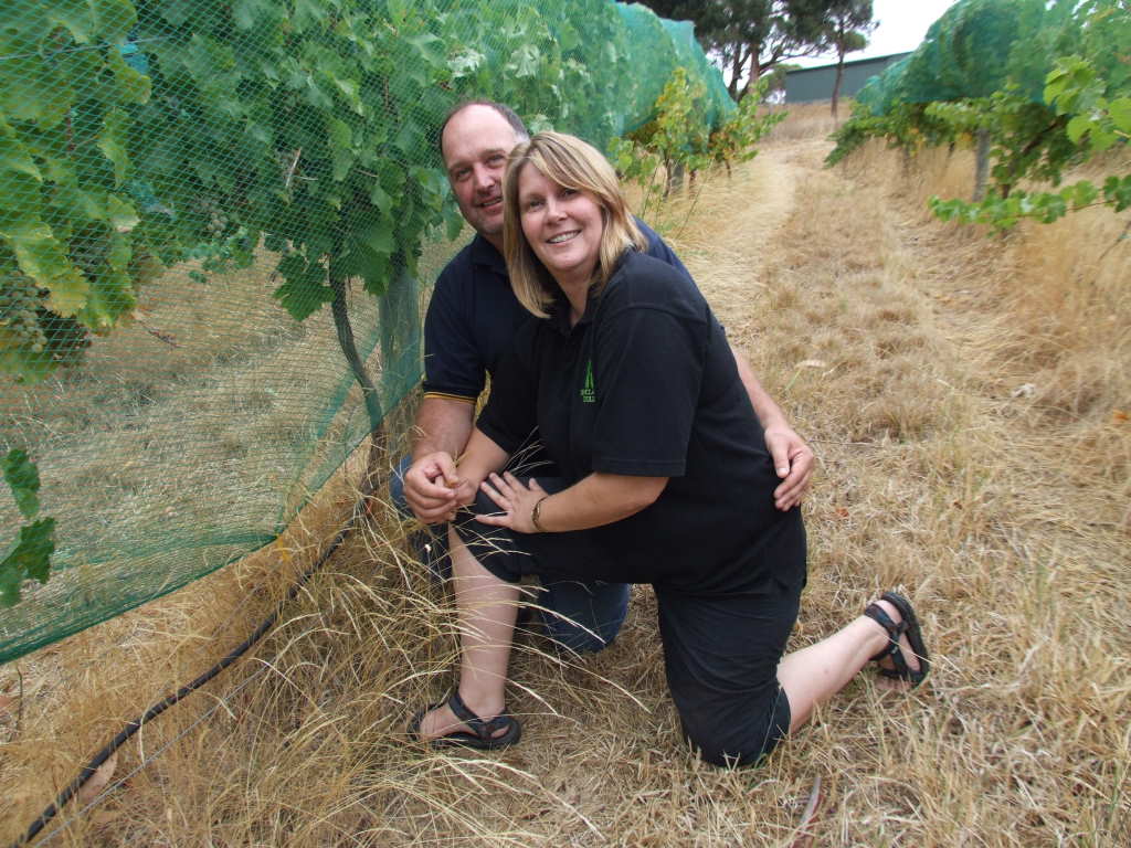 Adelaide Hills Vineyard