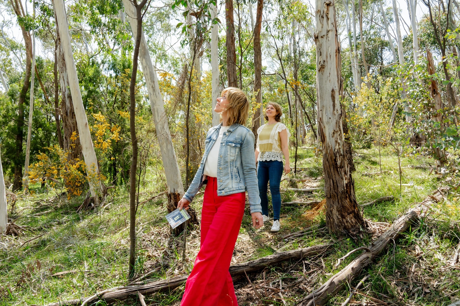 WINE AND WILDFLOWER WANDER @ SINCLAIRS GULLY