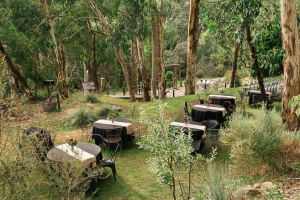 Adelaide Hills Wedding Venue - Sinclairs Gully
